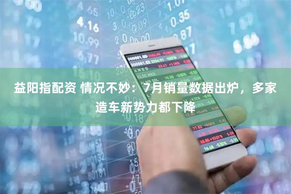益阳指配资 情况不妙：7月销量数据出炉，多家造车新势力都下降