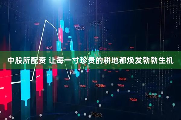 中股所配资 让每一寸珍贵的耕地都焕发勃勃生机