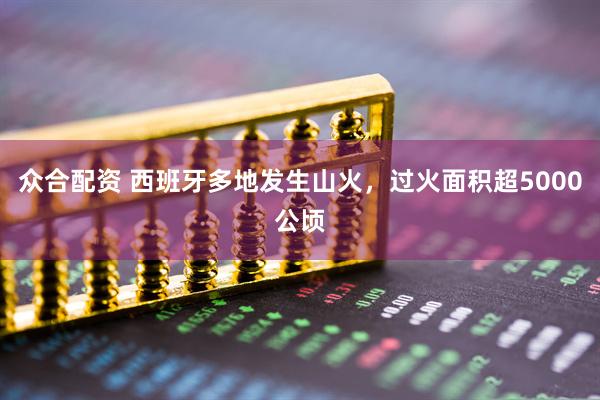 众合配资 西班牙多地发生山火，过火面积超5000公顷