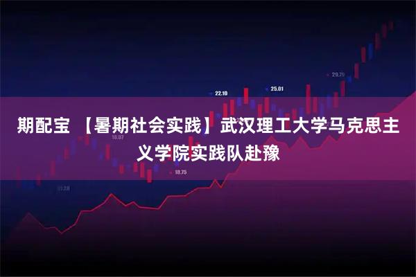 期配宝 【暑期社会实践】武汉理工大学马克思主义学院实践队赴豫