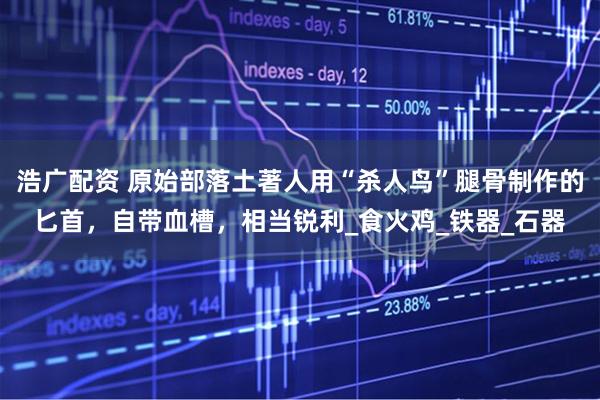 浩广配资 原始部落土著人用“杀人鸟”腿骨制作的匕首，自带血槽，相当锐利_食火鸡_铁器_石器