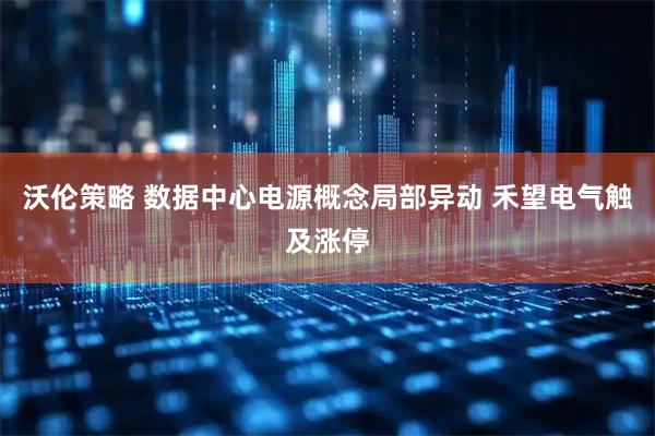 沃伦策略 数据中心电源概念局部异动 禾望电气触及涨停