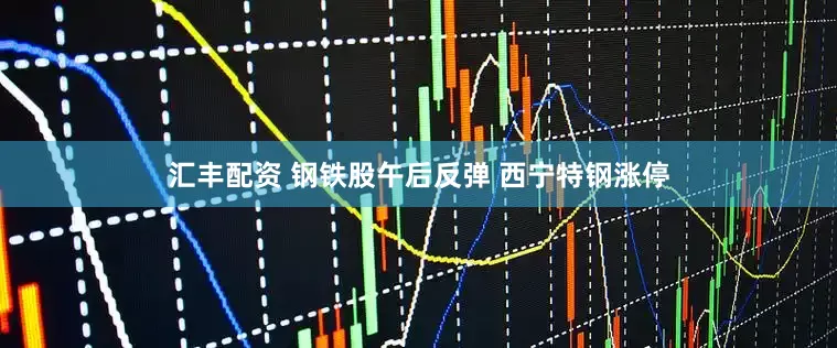 汇丰配资 钢铁股午后反弹 西宁特钢涨停