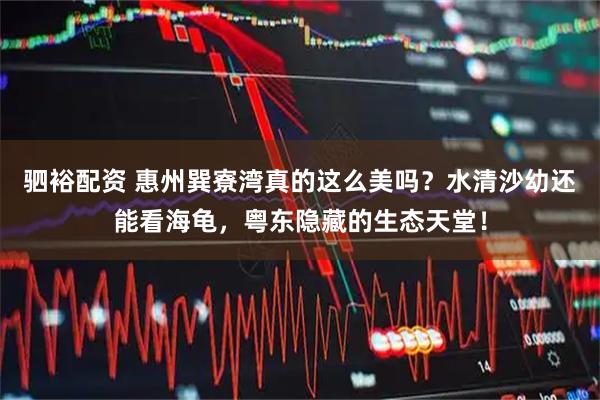 驷裕配资 惠州巽寮湾真的这么美吗？水清沙幼还能看海龟，粤东隐藏的生态天堂！