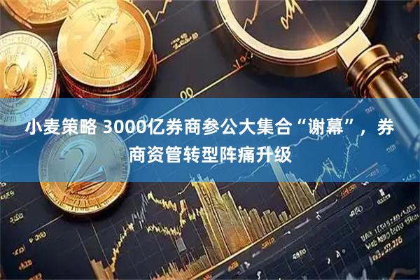 小麦策略 3000亿券商参公大集合“谢幕”，券商资管转型阵痛升级