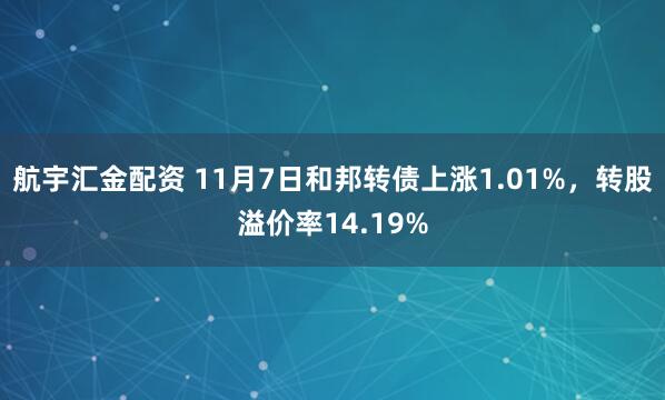 航宇汇金配资 11月7日和邦转债上涨1.01%，转股溢价率14.19%