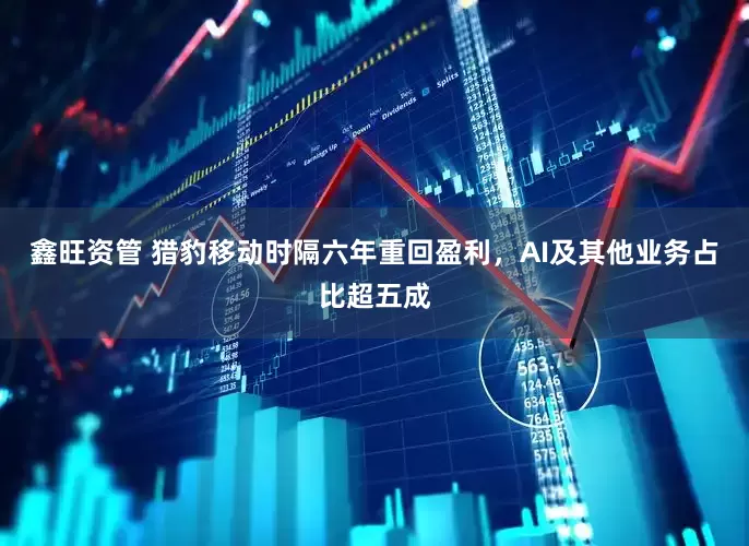 鑫旺资管 猎豹移动时隔六年重回盈利，AI及其他业务占比超五成